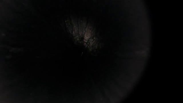 0439 смотреть онлайн