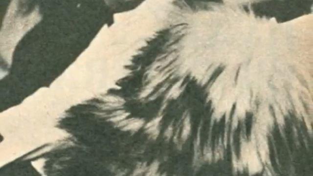 Hit House - Geordie Garriock/Keld Heick/ John Andersen. Garriock/Goggin смотреть онлайн