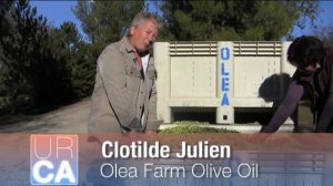 World's Largest Mobile Olive Press in Action