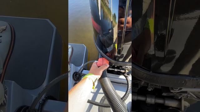 ЧудоШтука КРАСОТА #shorts #boat #fishing #yamaha #лодка #катер #рыбалка #ямаха