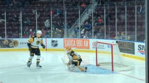 Hamilton Bulldogs goalie dance. Roy.