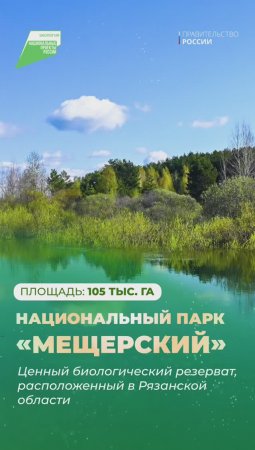 Благоустройство нацпарка «Мещерский»