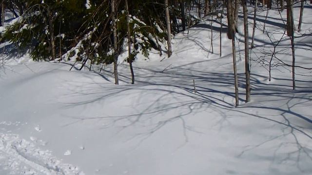 TELEMARKING with Charles R. смотреть онлайн