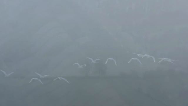 In Memory of Josef Sudek смотреть онлайн