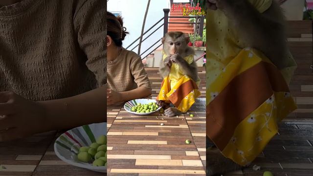 Jaila GentIy Huq Mom Behind, Wanting Her To Bring Maddox Out смотреть онлайн