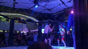 Free Fight, MMA, Кривой Рог