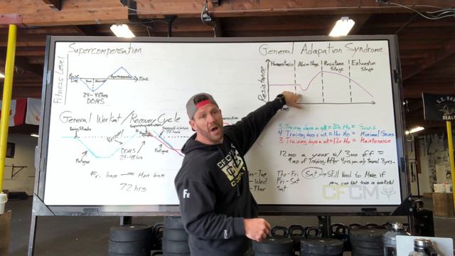 Supercompensation an adaptation смотреть онлайн