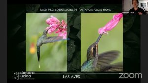 Historias de fotografía de naturaleza - Con Ernesto Obando