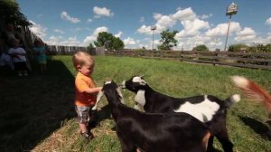 A Tour of Ellis Bird Farm with Myrna Pearman