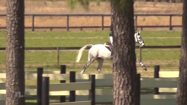 FE Charles Owen CIC 1* Carolina International 2018 смотреть онлайн
