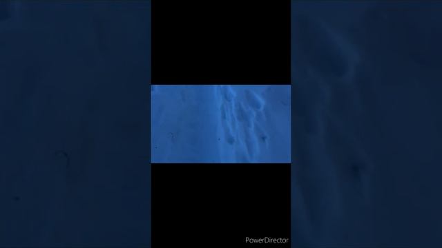 🔥prashar lake treaking and Full on enjoy 2022🔥tihri to prashar 🔥 смотреть онлайн