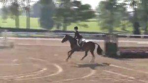 Video of HOLIDAY LIGHTS ridden by HANNAH WOOLLEY from ShowNet!