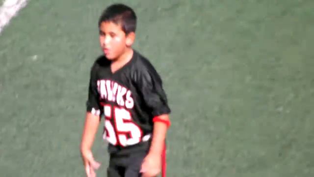 HAWKS VS COUGARS 5 смотреть онлайн