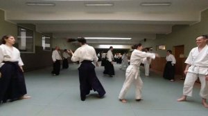 Roman Stoklasa 4. Dan - Aikido Karlín 2020