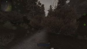 S.T.A.L.K.E.R. Тайные Тропы 2 + OGSR #2 Неприкосновенный Запас Лесника