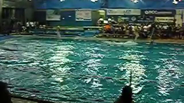 Finswimming-nuoto pinnato 4x50 bifins