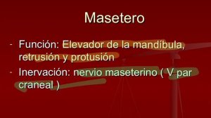 Anatomía II 2021 Aparato digestivo IV Dr Jesús Torres Espinoza