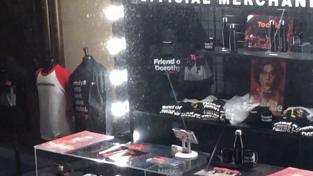 SEEING TONY AWARD WINNING ACTOR SANTINO FONTANA IN TOOTSIE THE MUSICALBROADWAY  Daily NYC Vlog 5