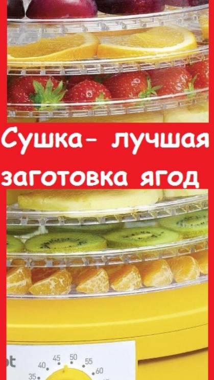 Сушилка для ягод и овощей - незаменимый аппарат для сезона заготовок, показываю свою