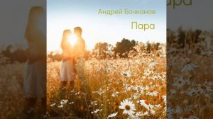 Андрей Бочканов - Пара (НОВАЯ ПЕСНЯ 2020г.)