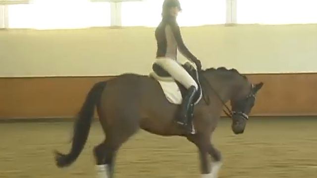 SOLD: U-KISS Old Mare 2011 by United-Rubinstein