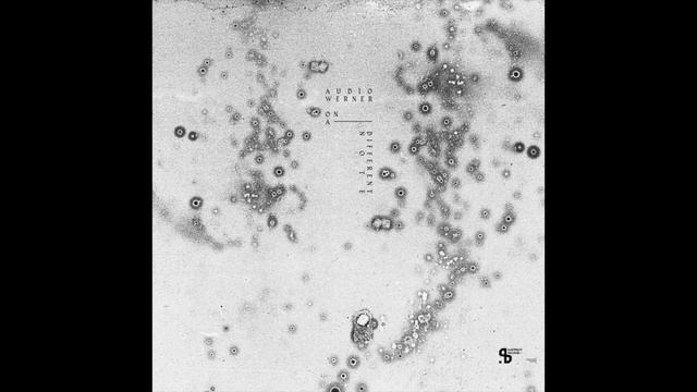 Audio Werner - Alter (Sushitech Records) смотреть онлайн
