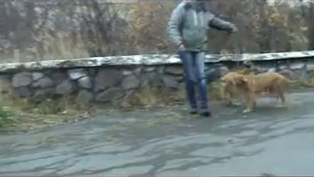 Ваенга Сальвио Дамиан и Ваенга Себастиан Ласаро, 3,5 мес смотреть онлайн