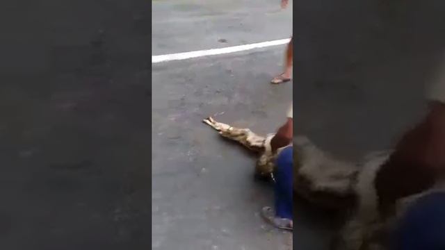 January 6, 2017 смотреть онлайн