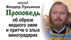 Проповедь об образе медного змия и притче о злых виноградарях (2024.09.22). Иерей Феодор Лукьянов