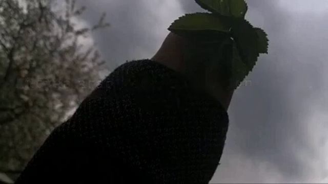 икболи худат бош!