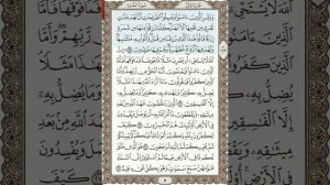 Анас Хибри «Аль-Бакара» 25-29