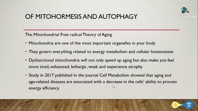 สรุปหนังสือ Stronger By Stress ตอนที่ 2/1 смотреть онлайн