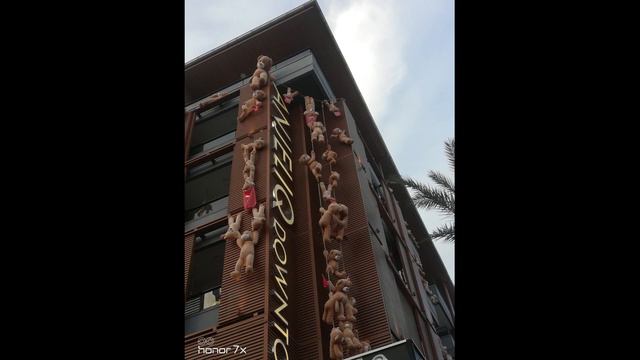 #11 Клип на песню "Заплутали мишки заплутали" поют Евгений Кемеровский и Евгений Росс смотреть онлайн