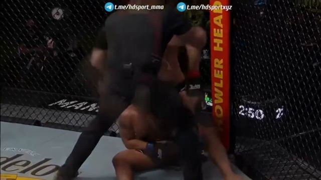 Доминирование Шавката Рахманова над Мишель Празерес. UFCVegas30.