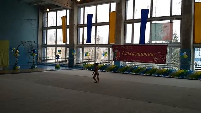Художественная гимнастика
