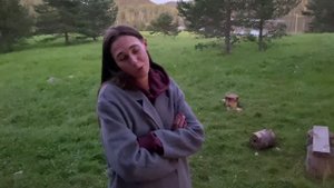 Хутор ярви обзор