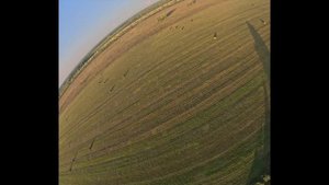 Где то в Костромских полях