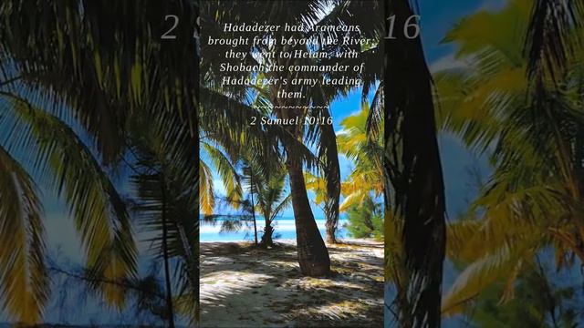 Bible | 2 Samuel 10:16 | Hadadezer had Arameans brought... смотреть онлайн