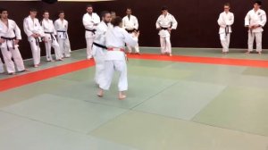 Jane Bridge : O-uchi-gari en garde décalée