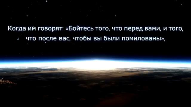 Махер аль муайкали сура йсин 36 смотреть онлайн