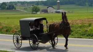 Amish | Wikipedia audio article