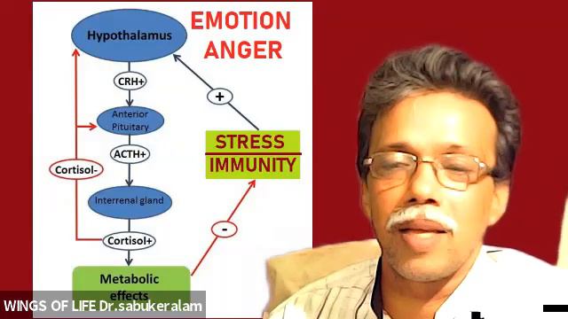 INTRODUCTION TO TRANSACTIONAL ANALYSIS, TA , by Dr.Sabukeralam,WINGS OF LIFE KOTTAYAM смотреть онлайн