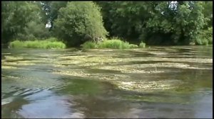 Ray Walton - DORSET STOUR, PURCHASE'S AND CHISSELL'S, CANFORD MAGNA, DORSET