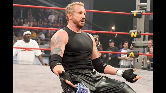 Diamond Dallas Page Theme смотреть онлайн