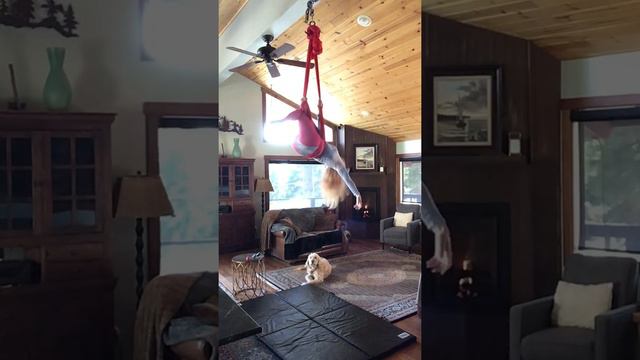 Hammock Sling, Three Little Birds смотреть онлайн