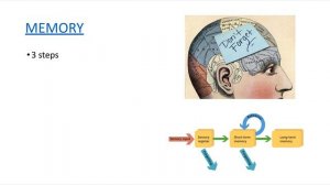 LT 2 CNS Functional Systems