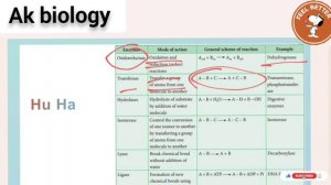 Enzymes in hindi | enzyme kinetics | lock and key model