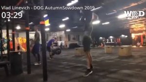 Dog Autumn Showdown 2019 Линевич Владислав  Amators 19.2