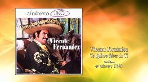 Vicente Fernández - Yo Quiero Saber de Ti (Cover Audio)