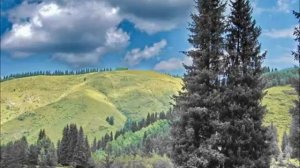 Ата Журт Алыкул Осмонов